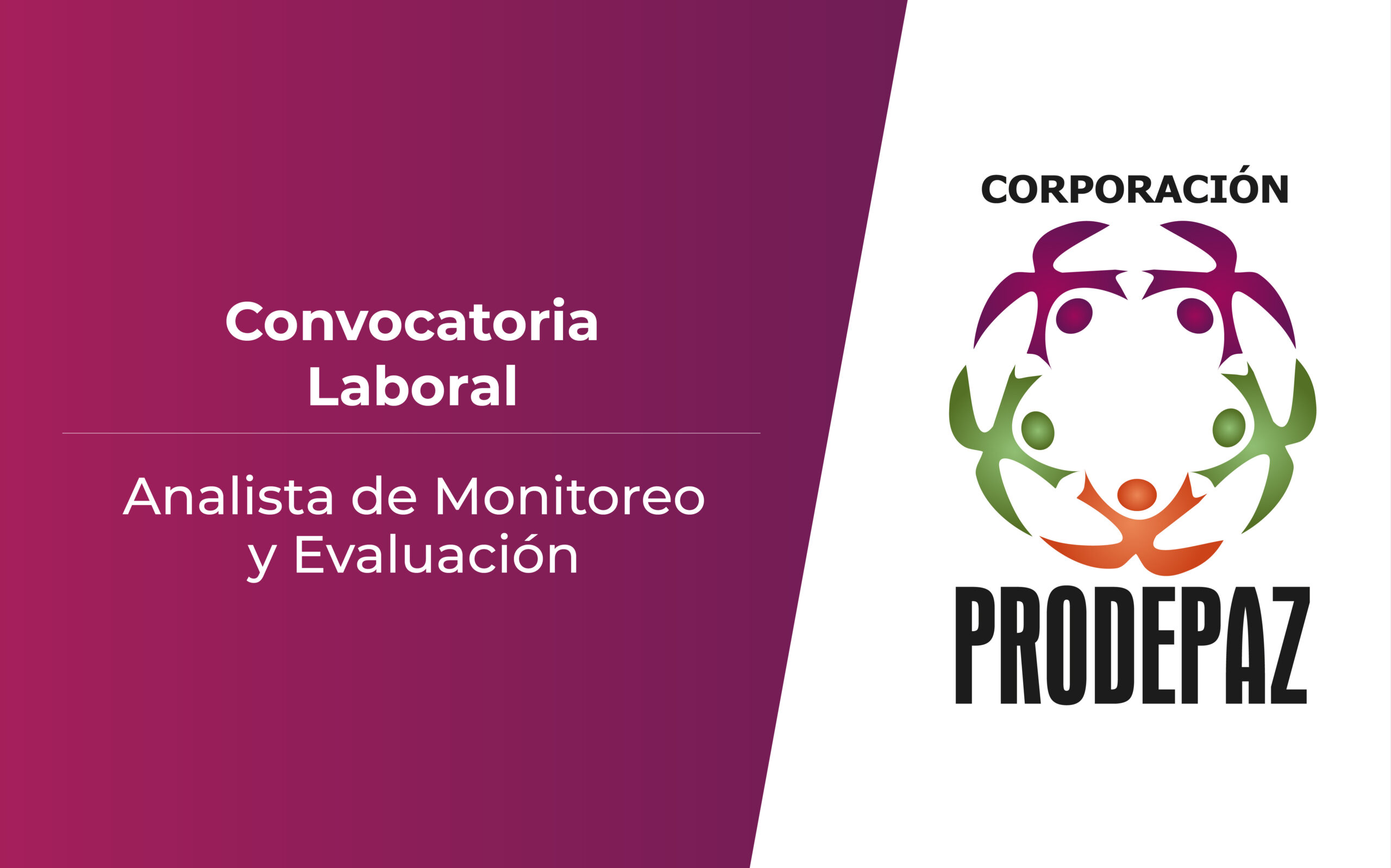 Convocatoria Laboral: Analista de Monitoreo y Evaluación